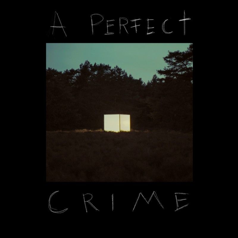 Cover di A Perfect Crime
