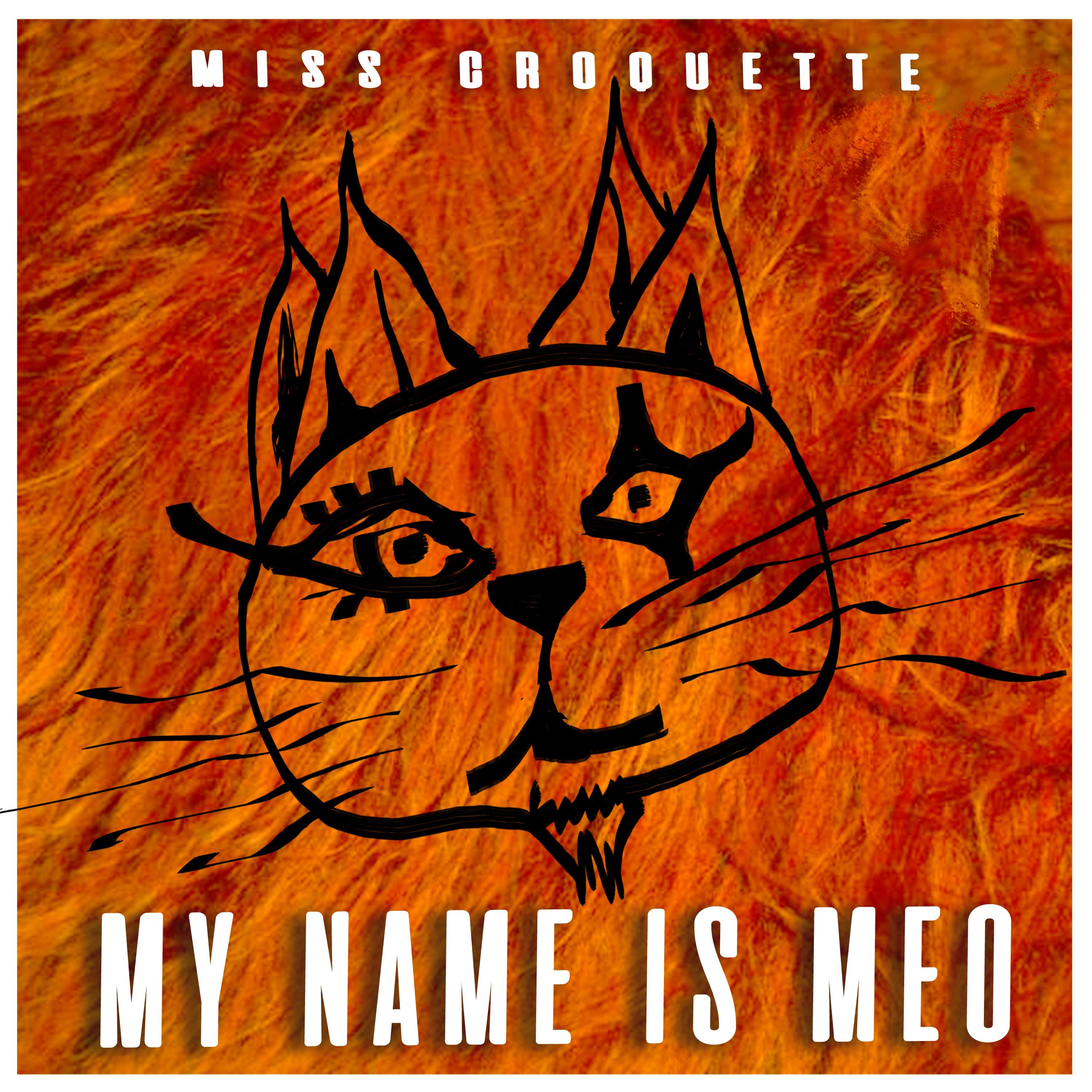 Cover di My name is Meo