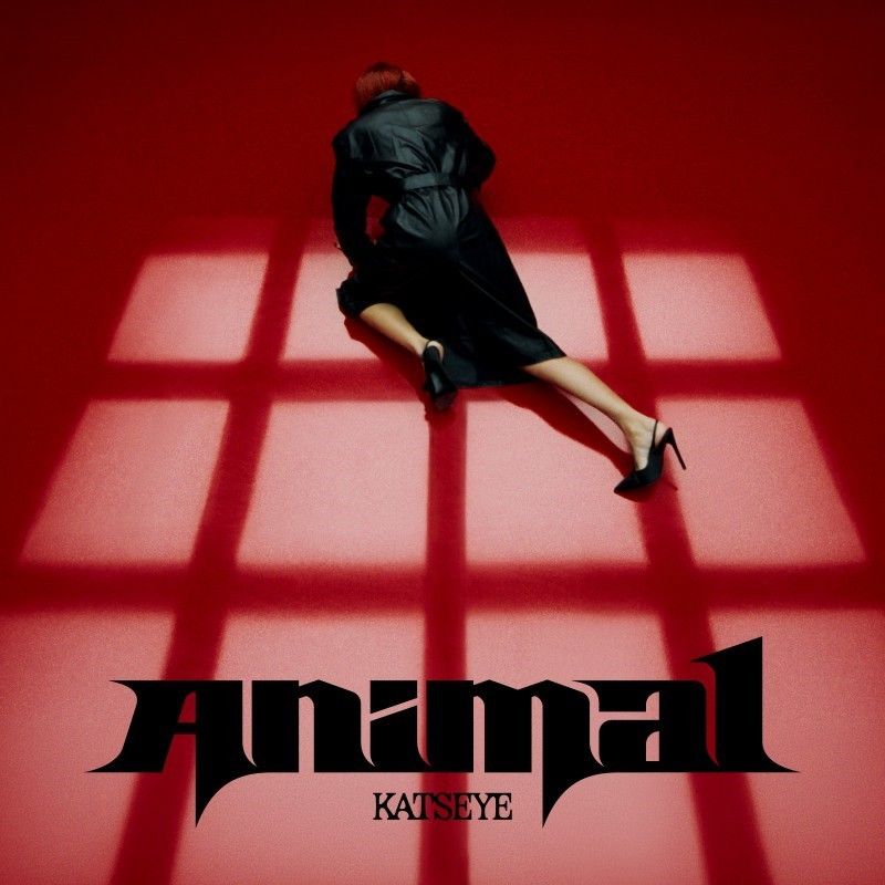 Cover di Animal